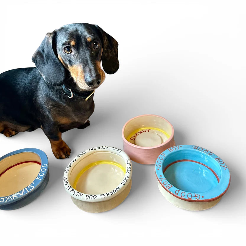 Good Boy Dog Food Bowl