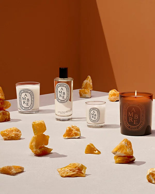 DIPTYQUE Ambre (Amber) Scented Candle 10.6 oz