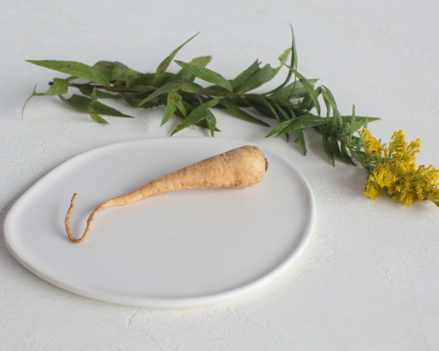 Ripple Salad Plate