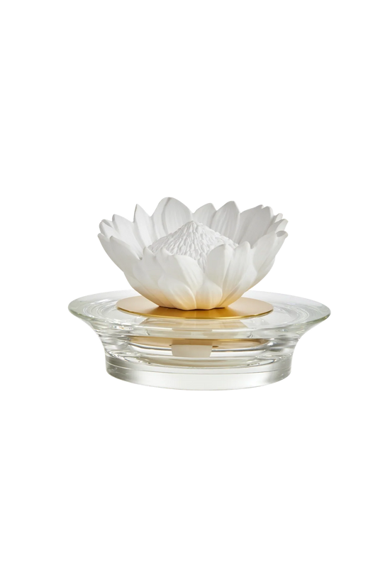 Diffuser Protea