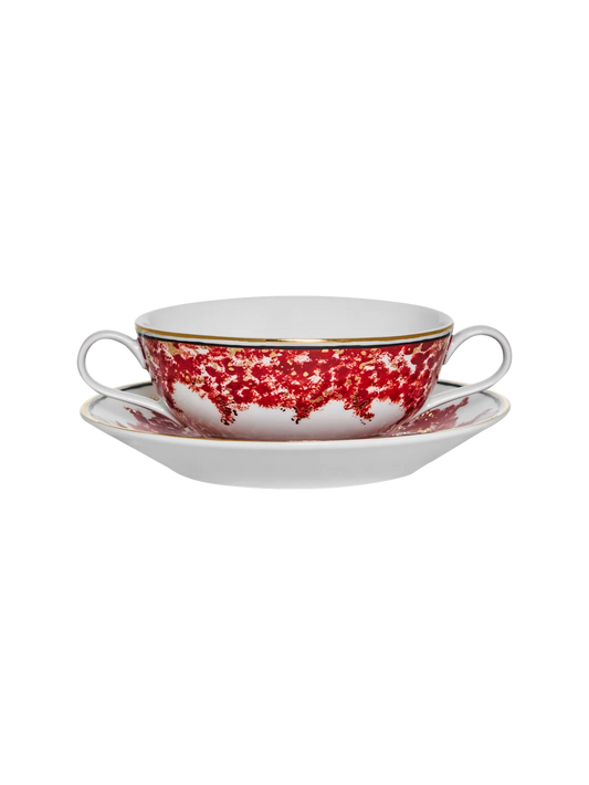 Consomme Bowl Plaza Athenee