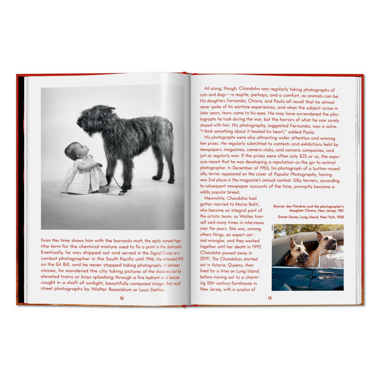 Walter Chandoha. Dogs. Photographs 1941–1991 (English)