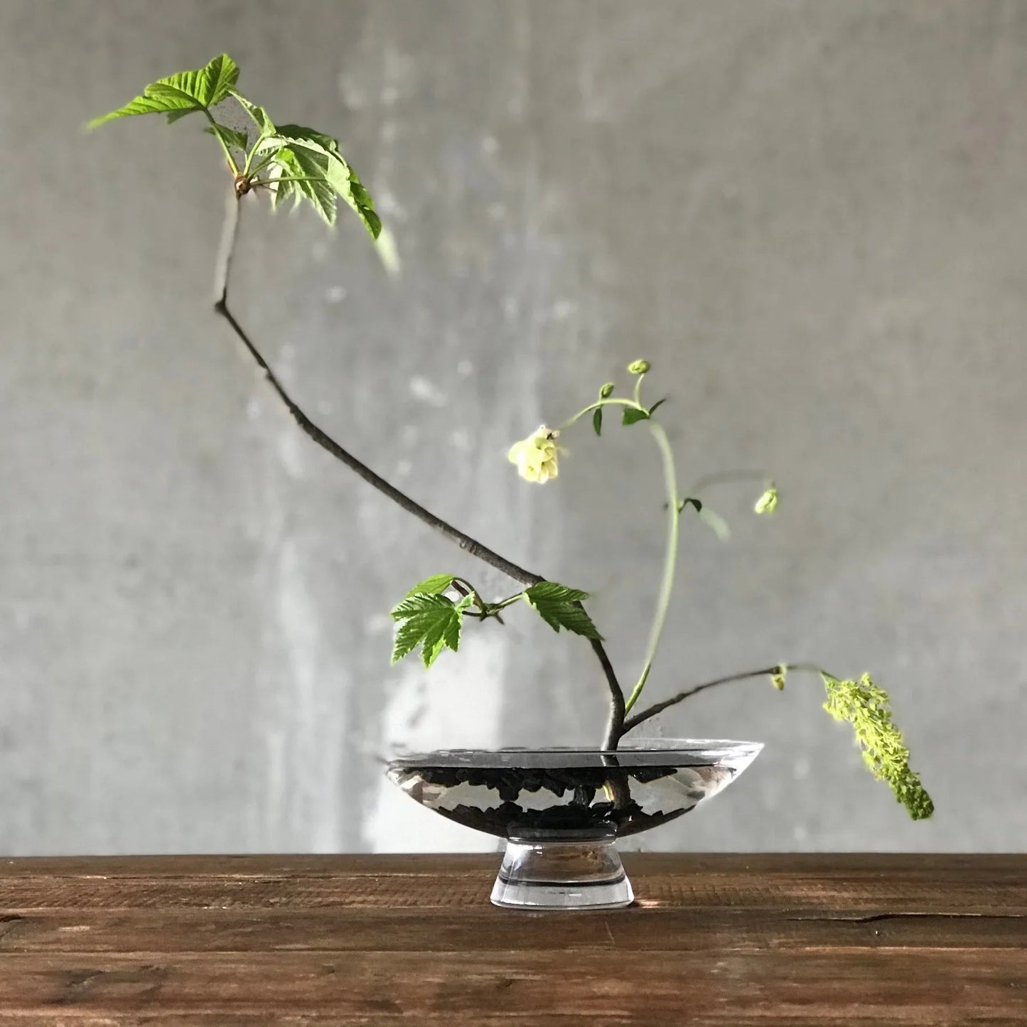 Silhouette Bowl Large