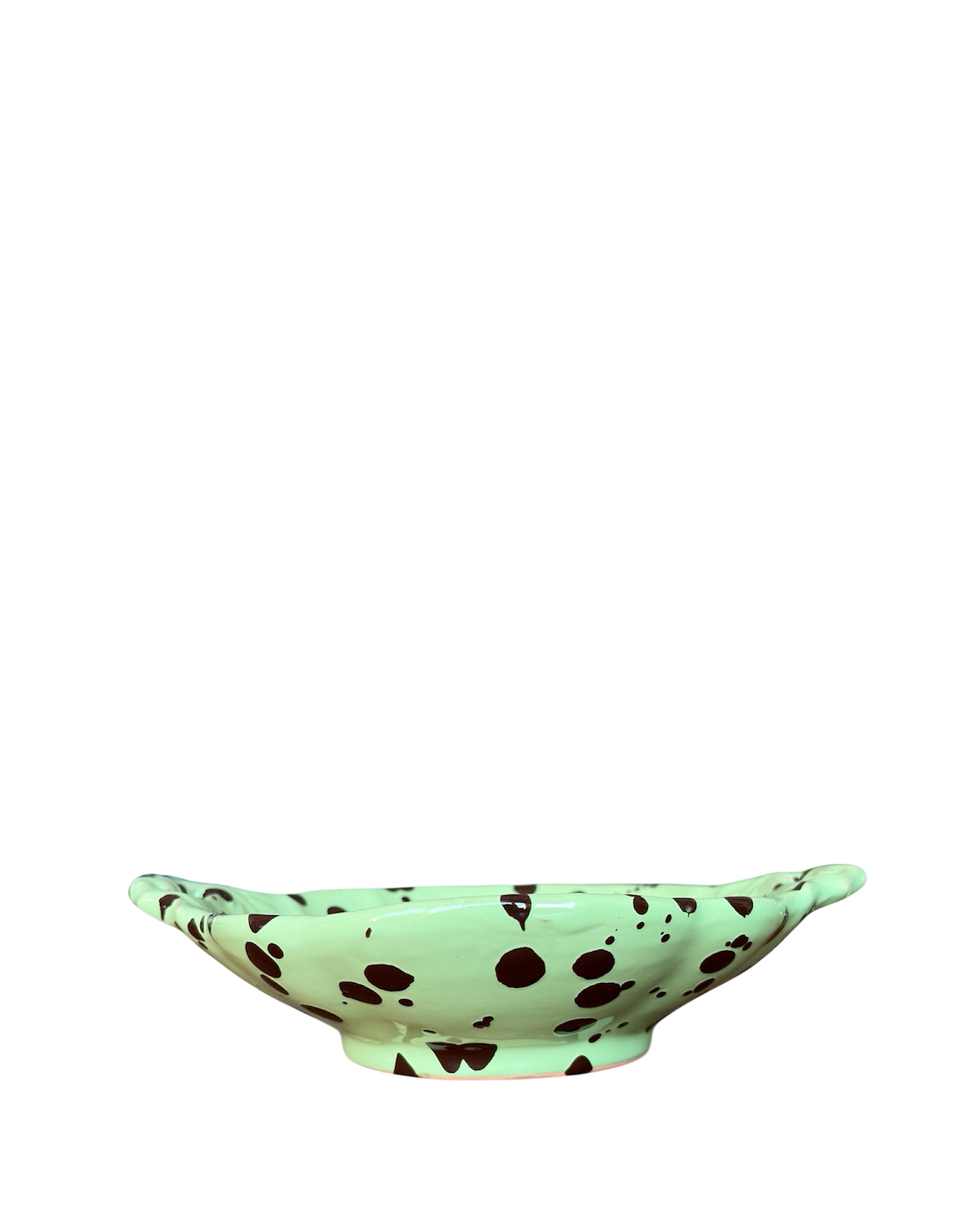 Shell Dish