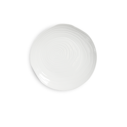 Teck 11" White Dinner Plates, Set of 4