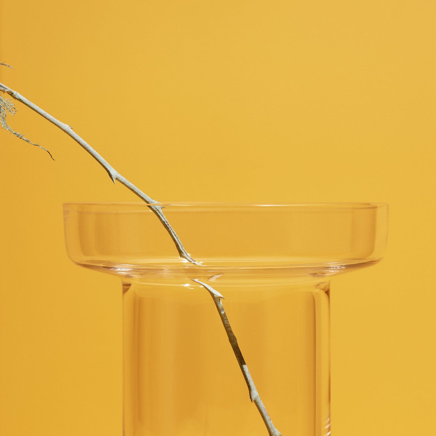 Limelight Vase Clear Tall