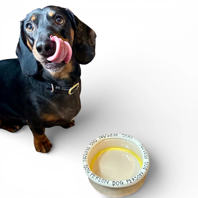 Dog Person Dog Bowl