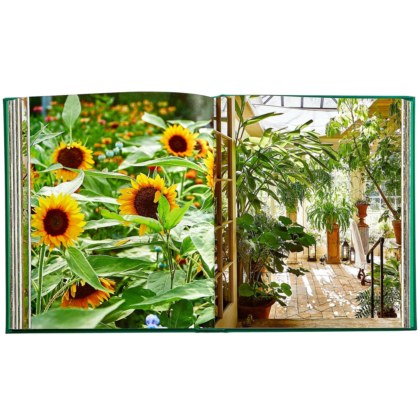 Bunny Williams: Life in the Garden