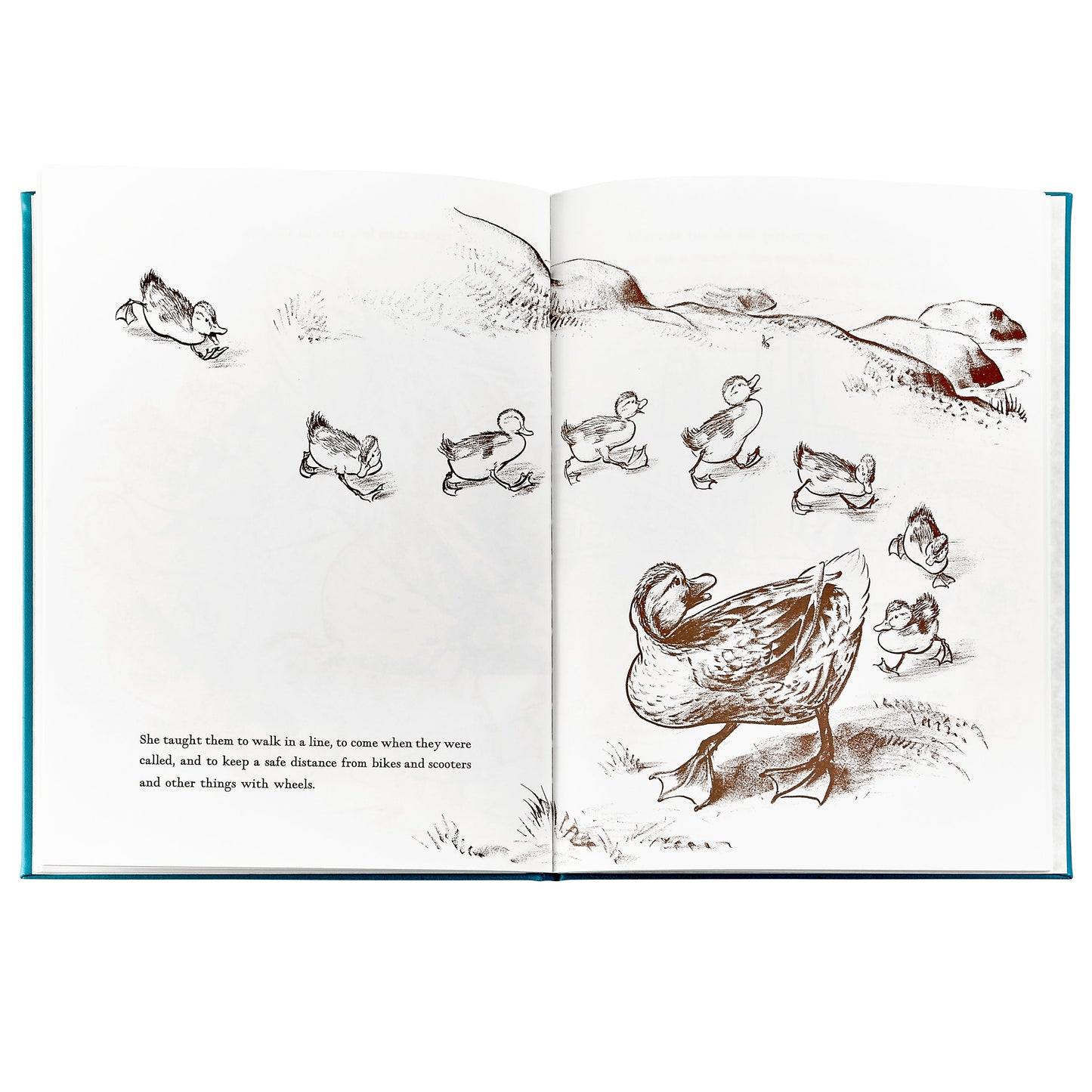 Leather Bound- Make Way For Ducklings