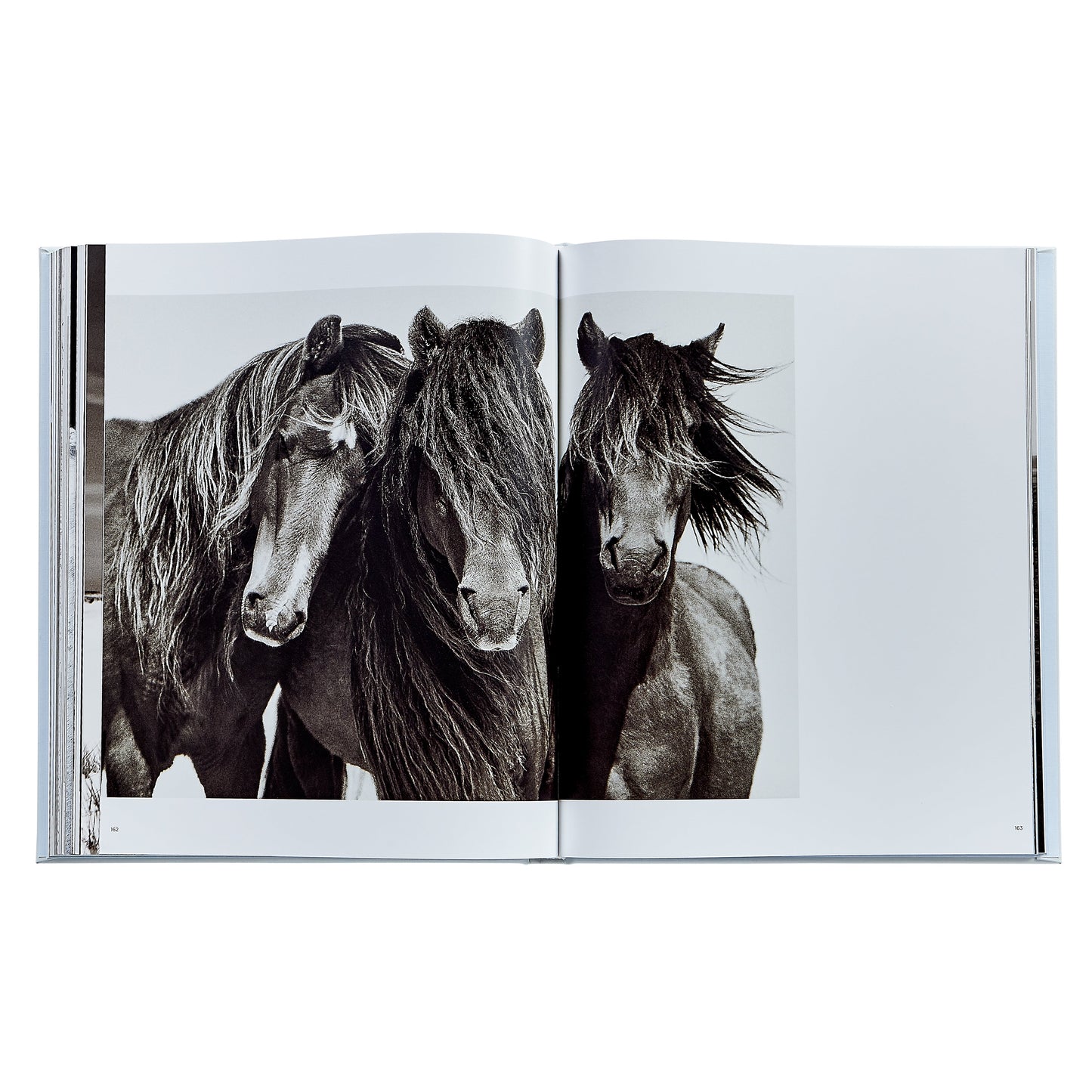 Untamed Spirits: Horses From Around the World