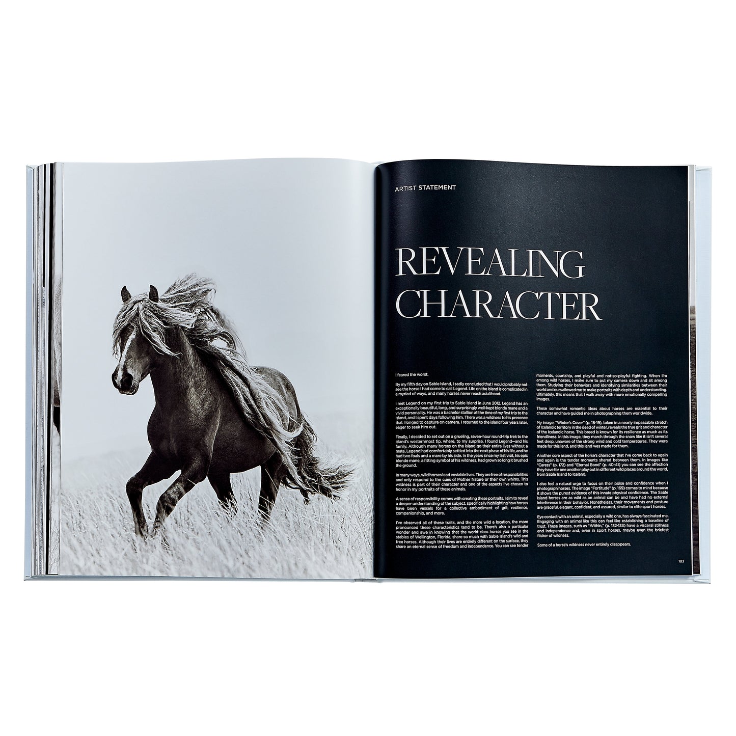 Untamed Spirits: Horses From Around the World