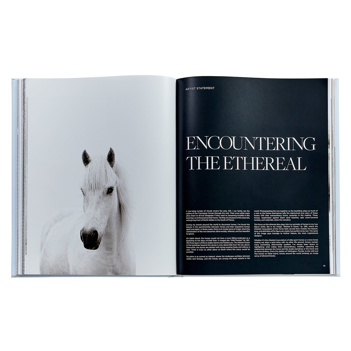 Untamed Spirits: Horses From Around the World