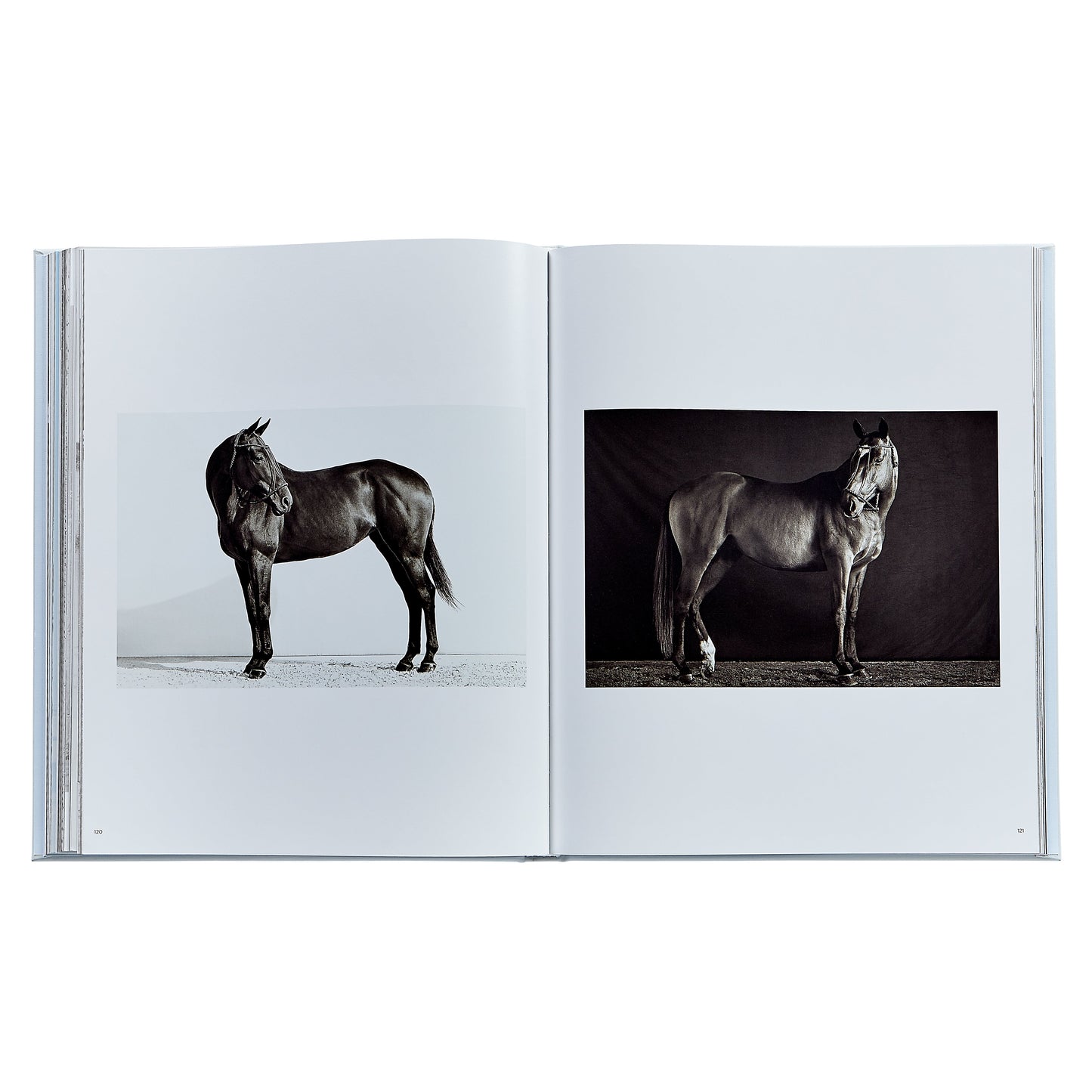 Untamed Spirits: Horses From Around the World