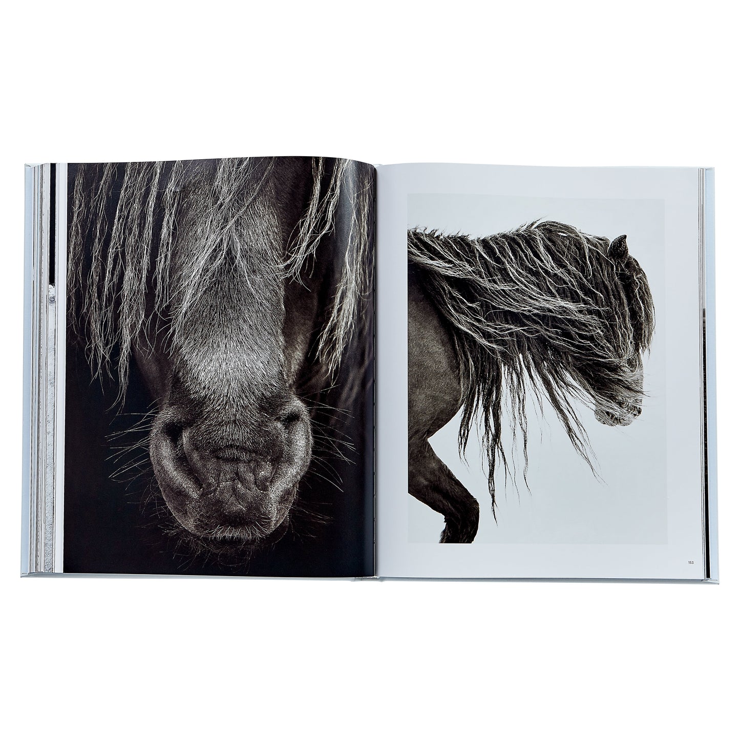 Untamed Spirits: Horses From Around the World