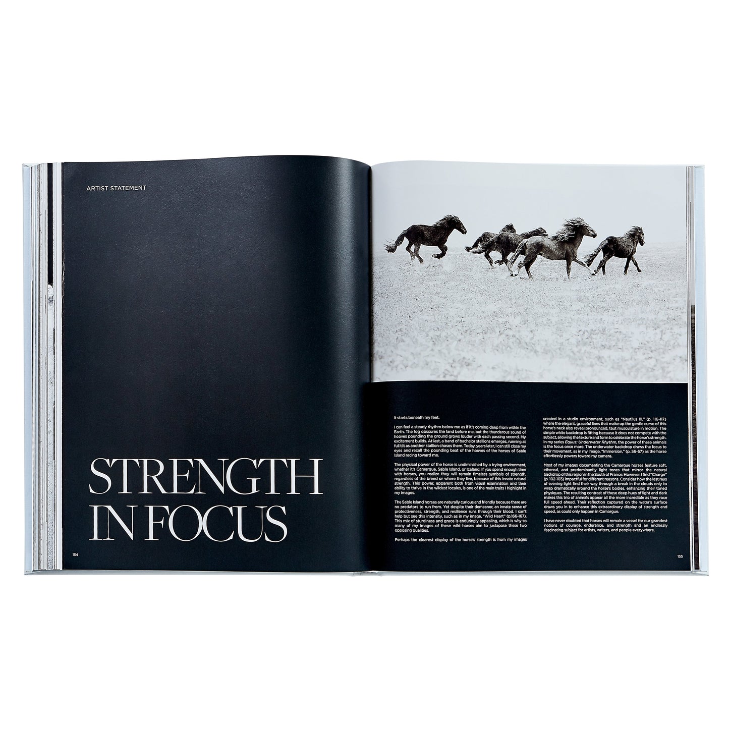 Untamed Spirits: Horses From Around the World