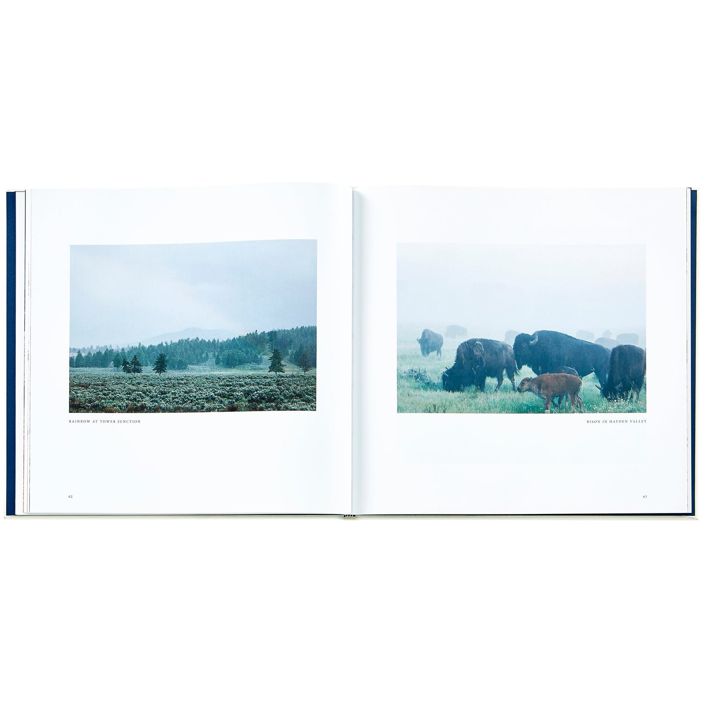 Yellowstone: A Land of Wild and Wonder