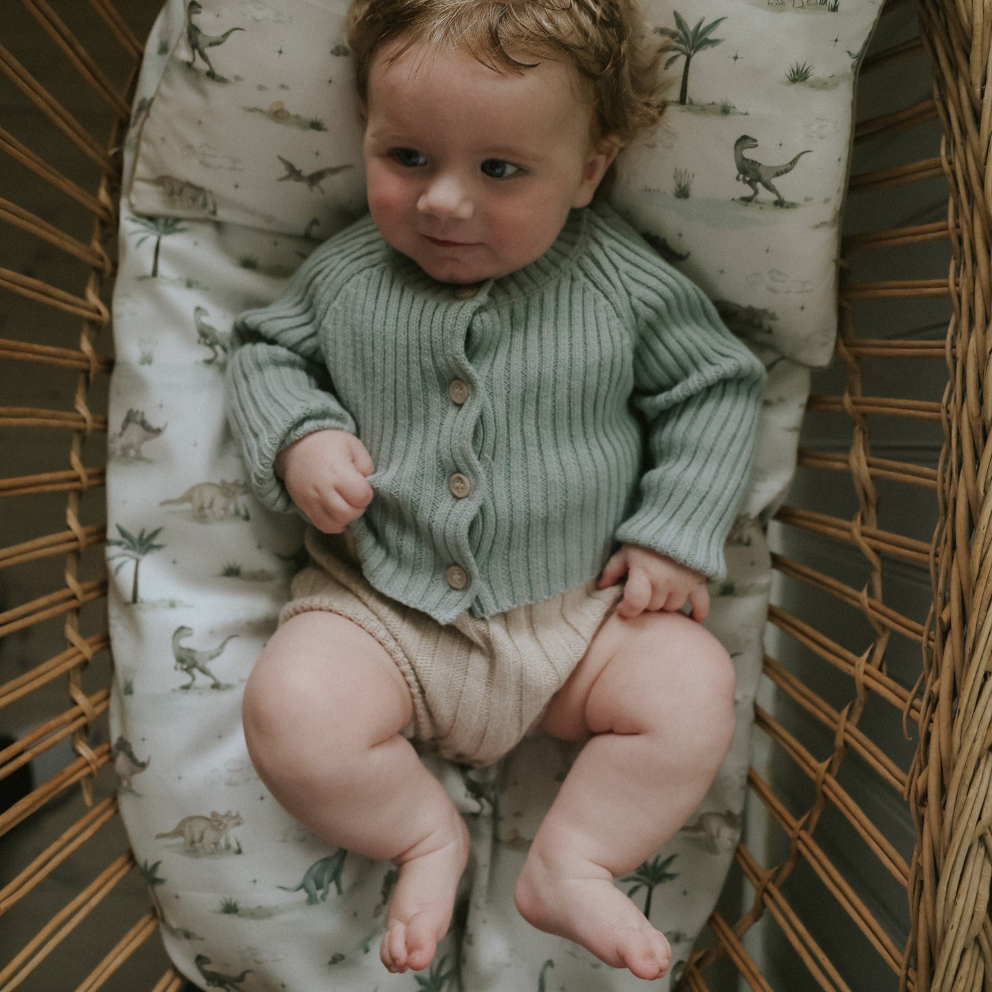 Dino Dreams Baby Duvet - Sage
