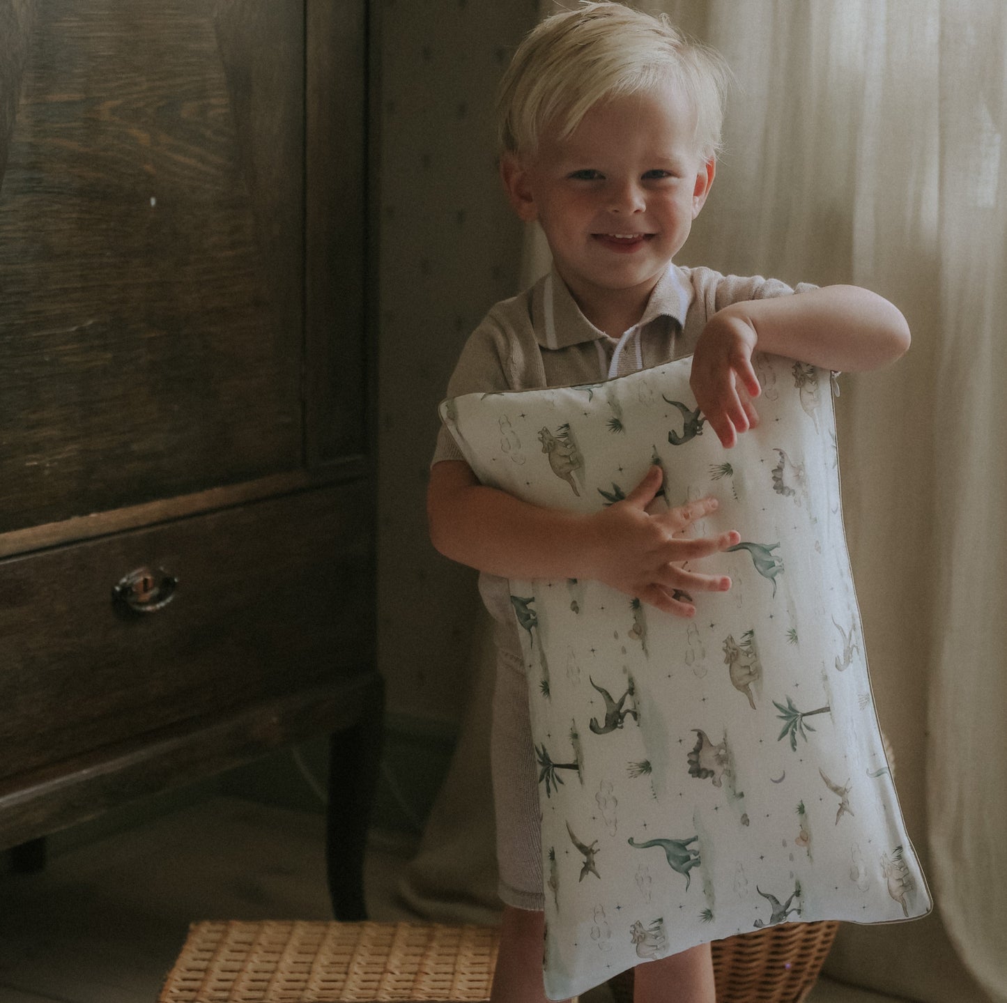 Dino Dreams Toddler Pillow - Sage