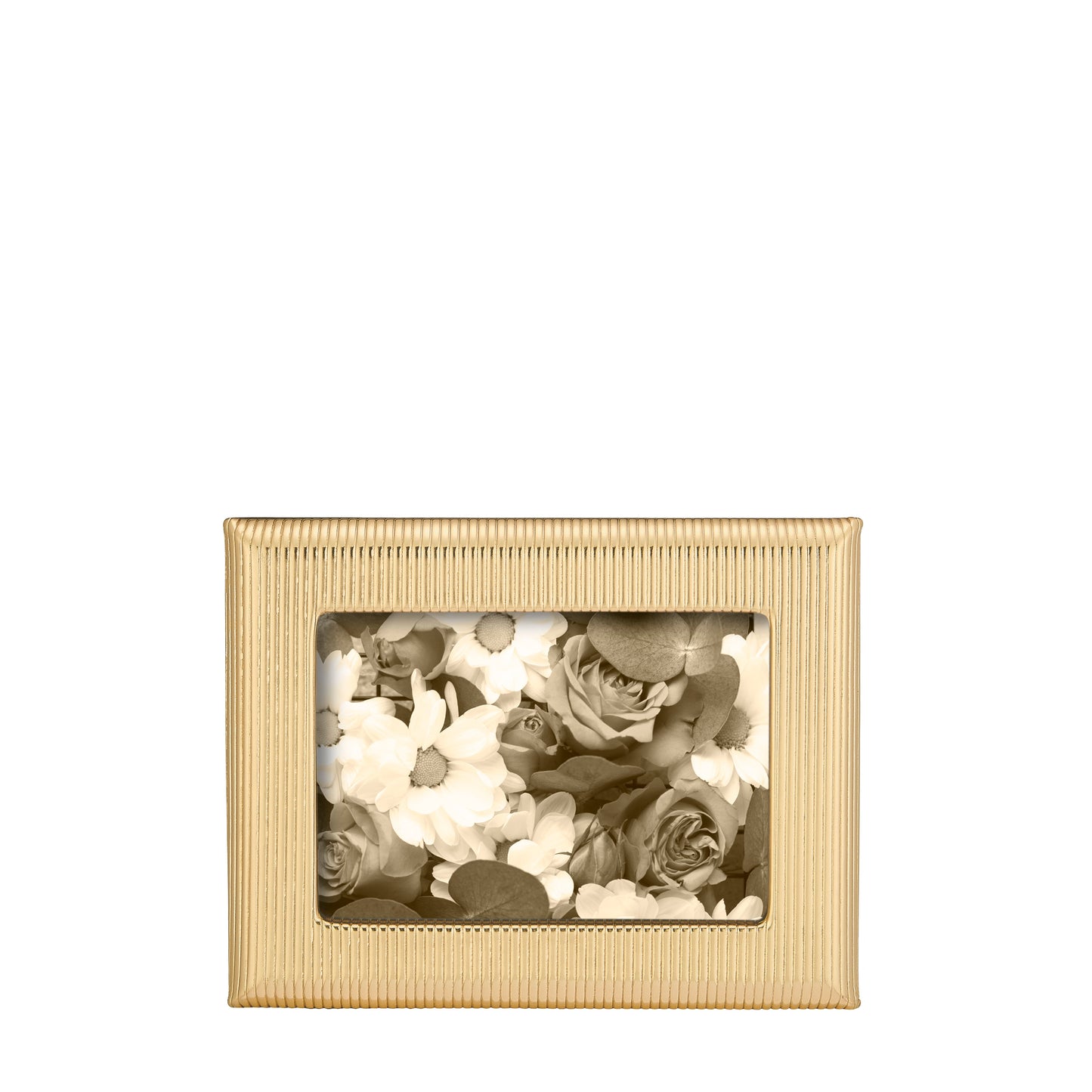 5" x 7" Profile Studio Frame