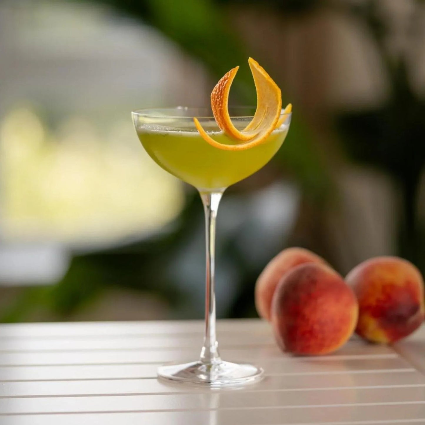 Hepburn Set of 2 Coupe Glasses