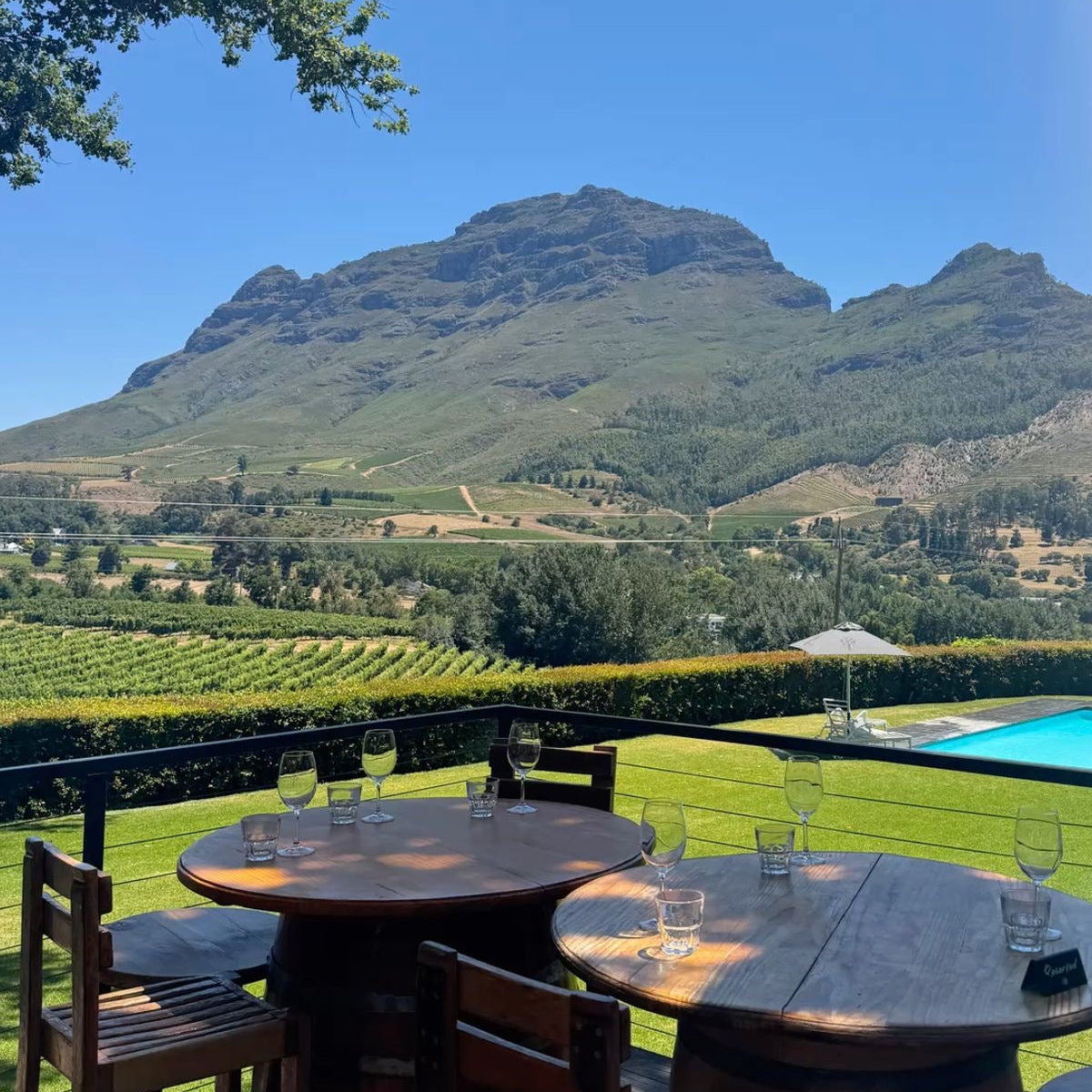 Wine Tasting in South Africa