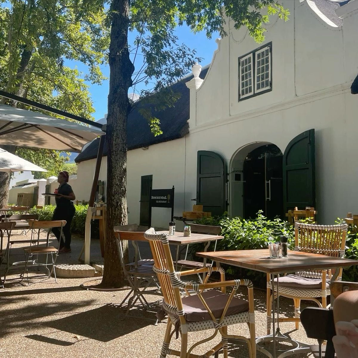 Wine Tasting in South Africa