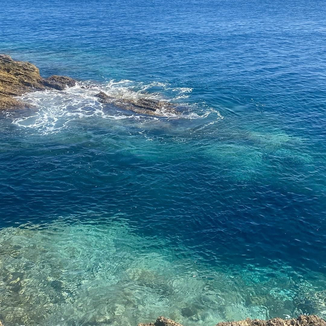 Snorkling Excursion in the Azores