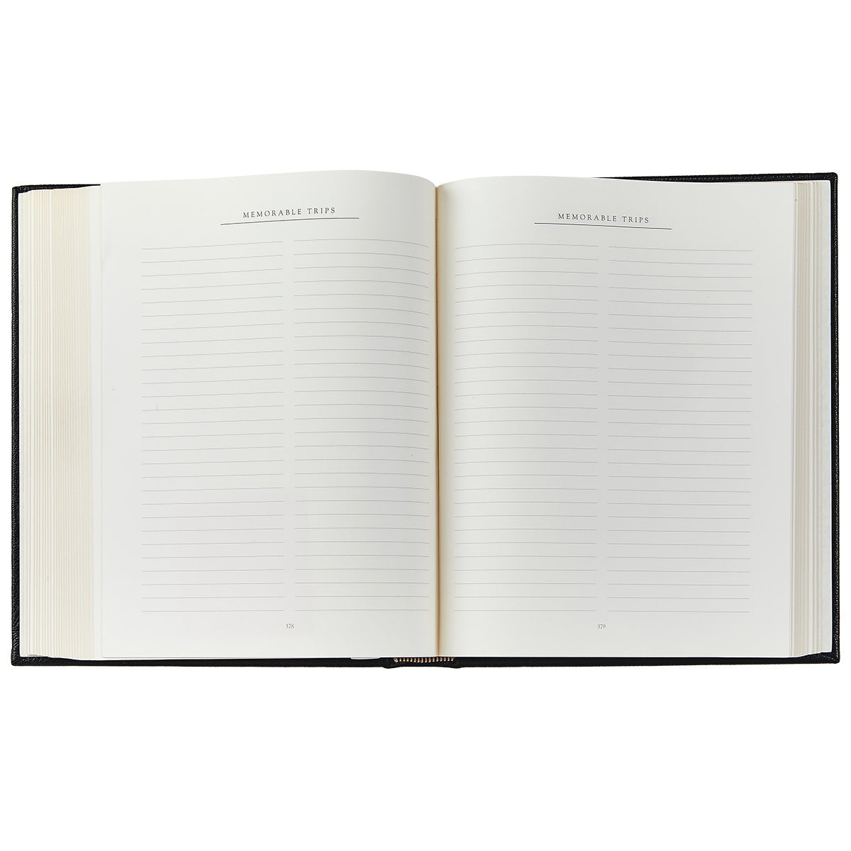 Family History Book