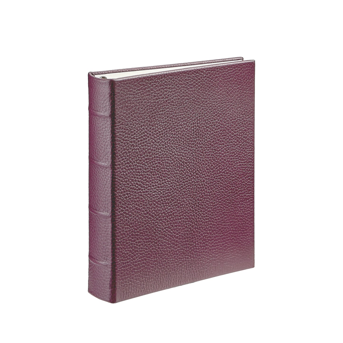 Medium 4-Ring Clear Pocket Album
