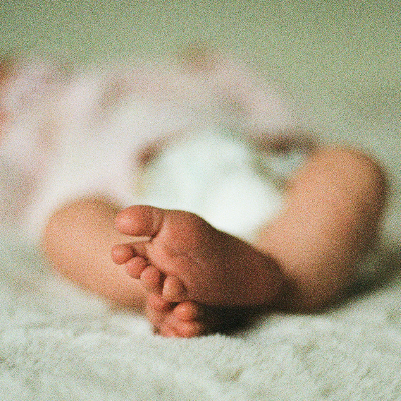 The Bump Edit (Maternity or Newborn)