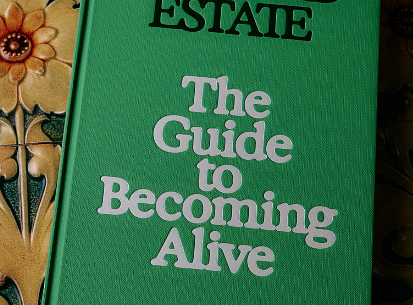 The Guide to Becoming Alive