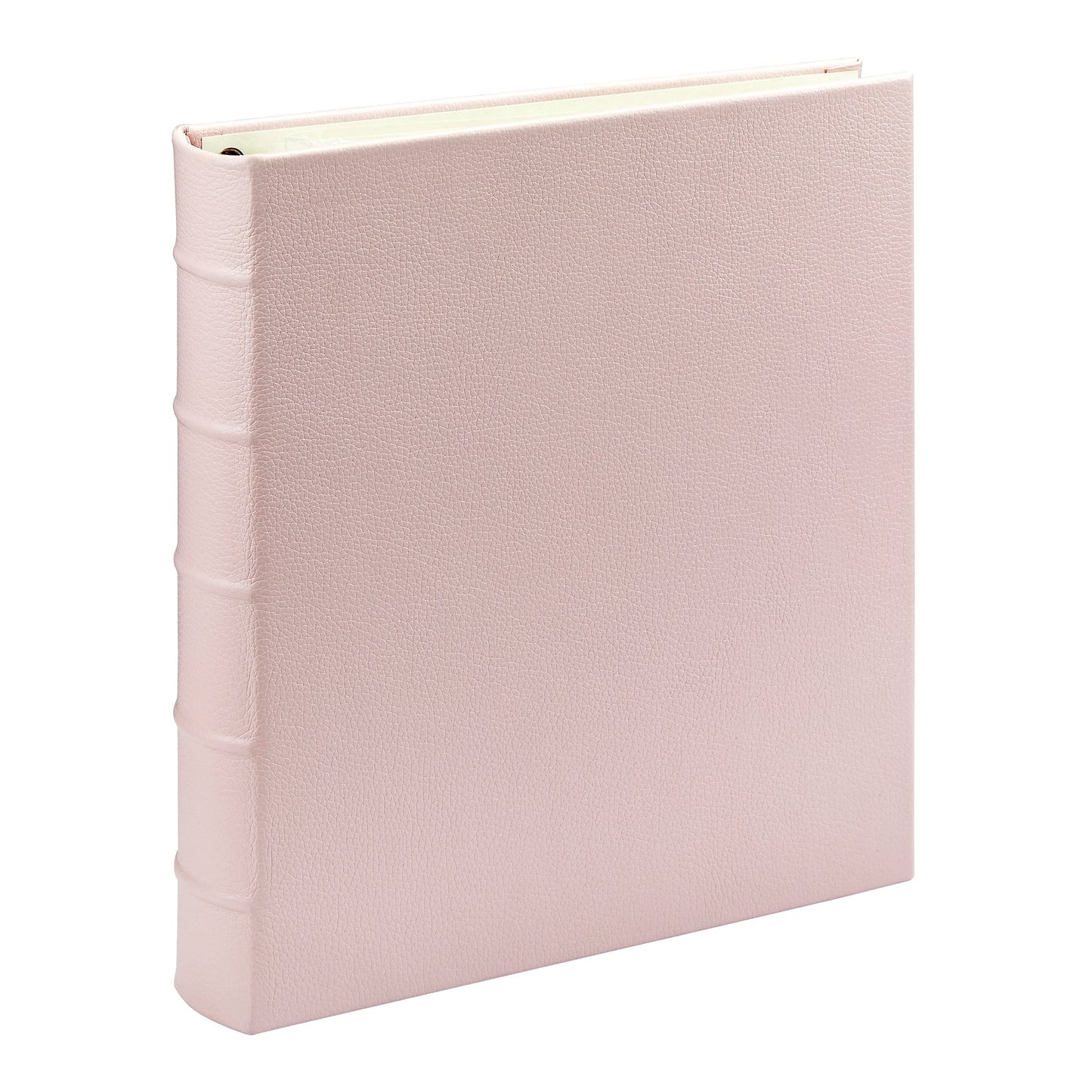 Large 3-Ring Clear Pocket Album