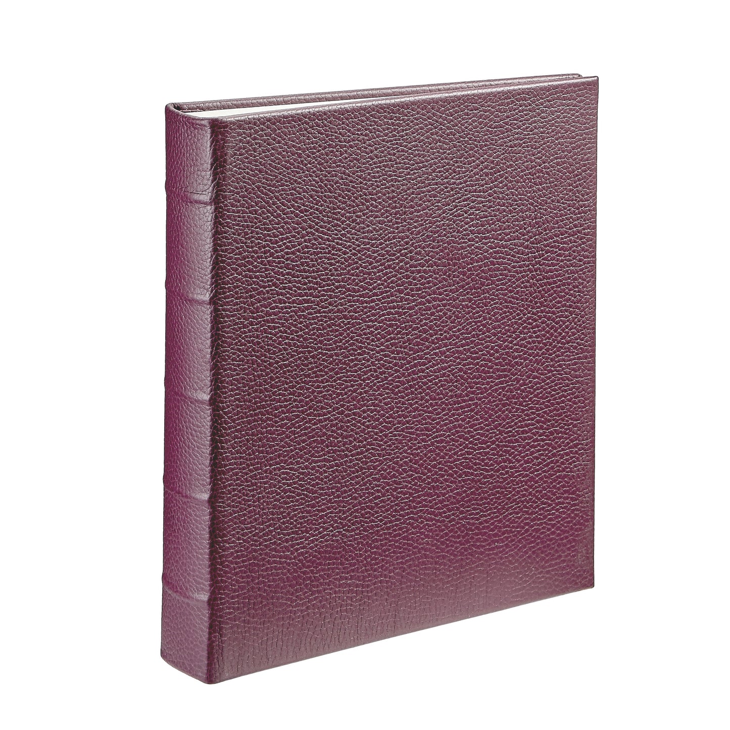 Large 3-Ring Clear Pocket Album