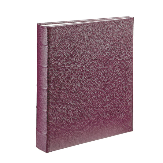 Large 3-Ring Clear Pocket Album