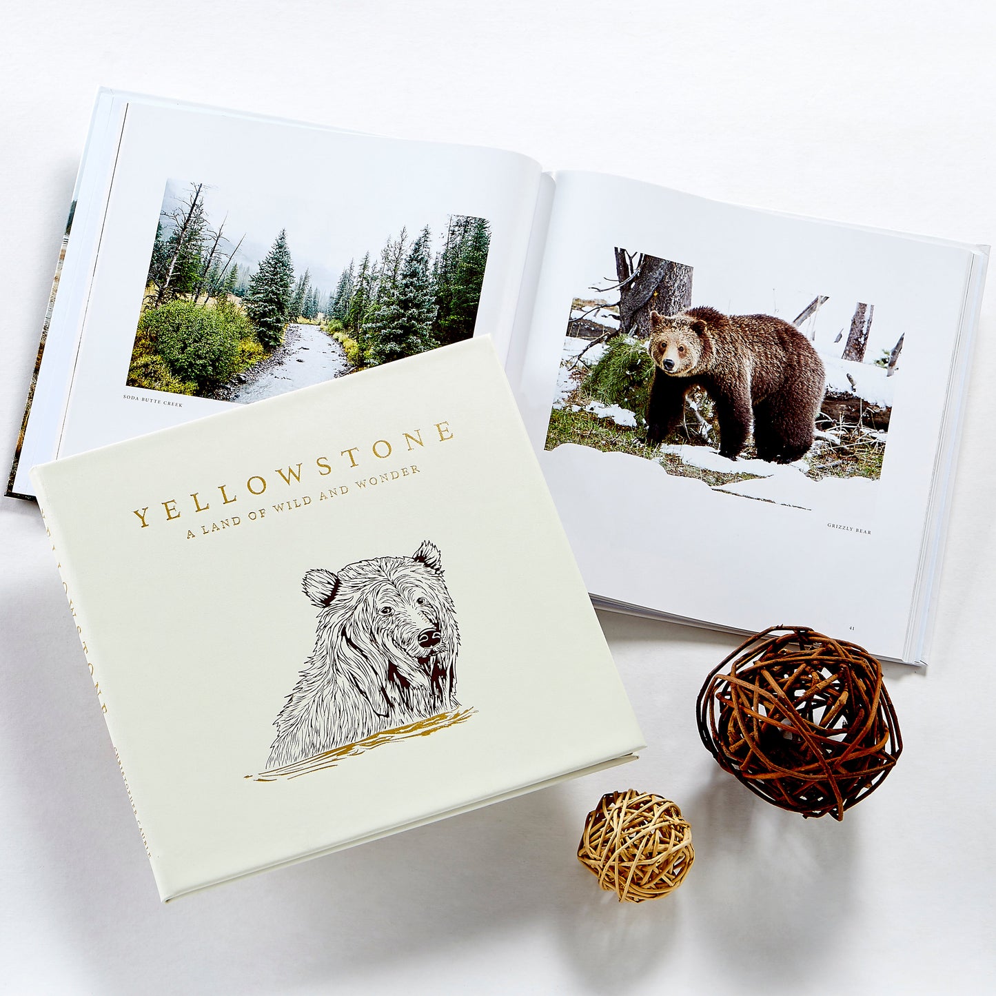 Yellowstone: A Land of Wild and Wonder