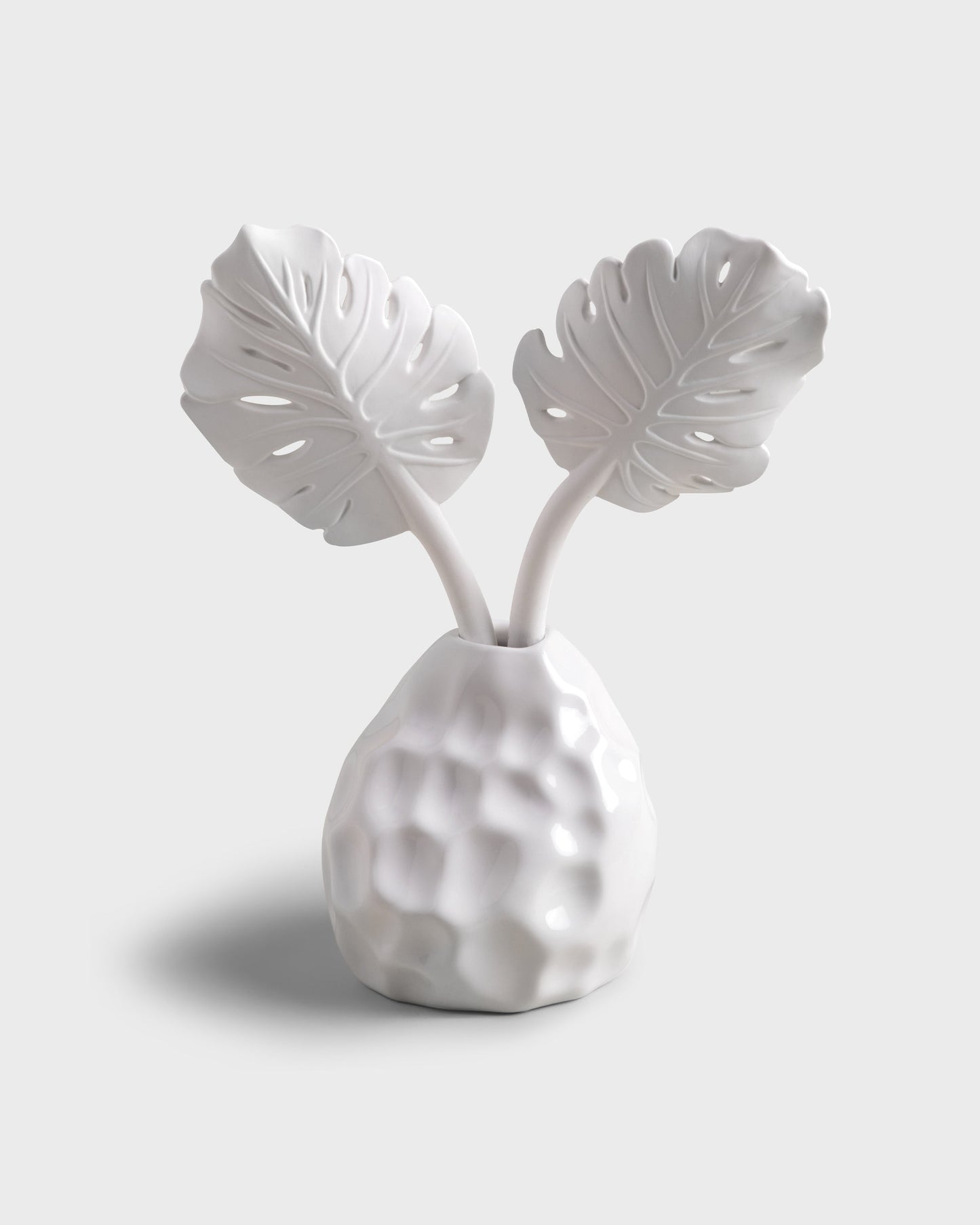 Diffuser Folha Costela de Adao White