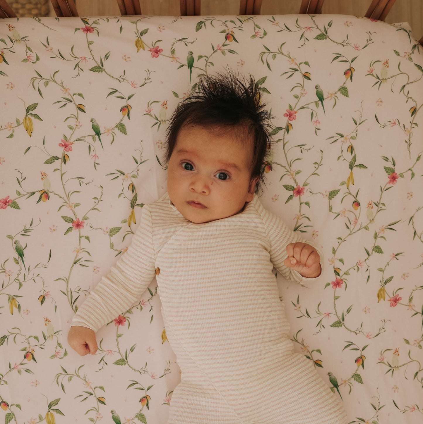 Dreaming of Paradise Crib Sheet - Ivory