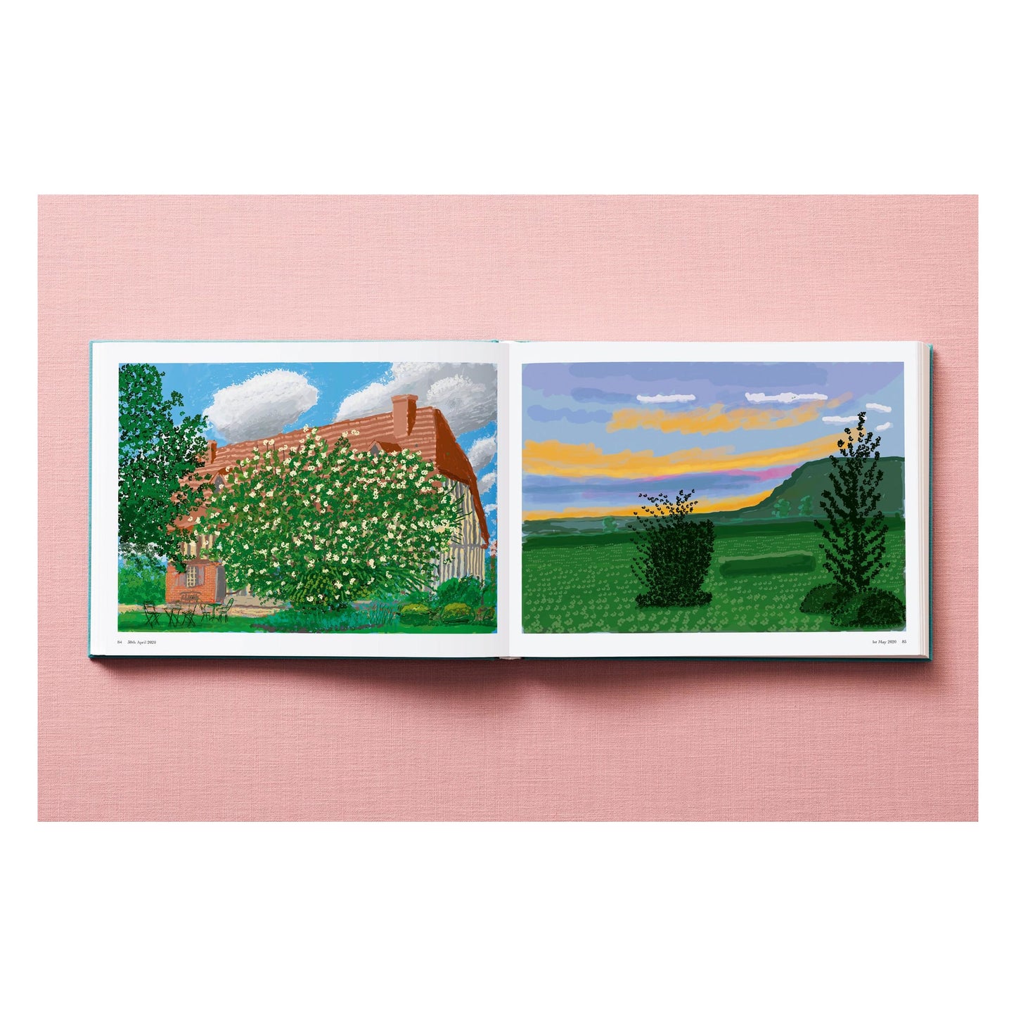 David Hockney. 220 for 2020 (English)