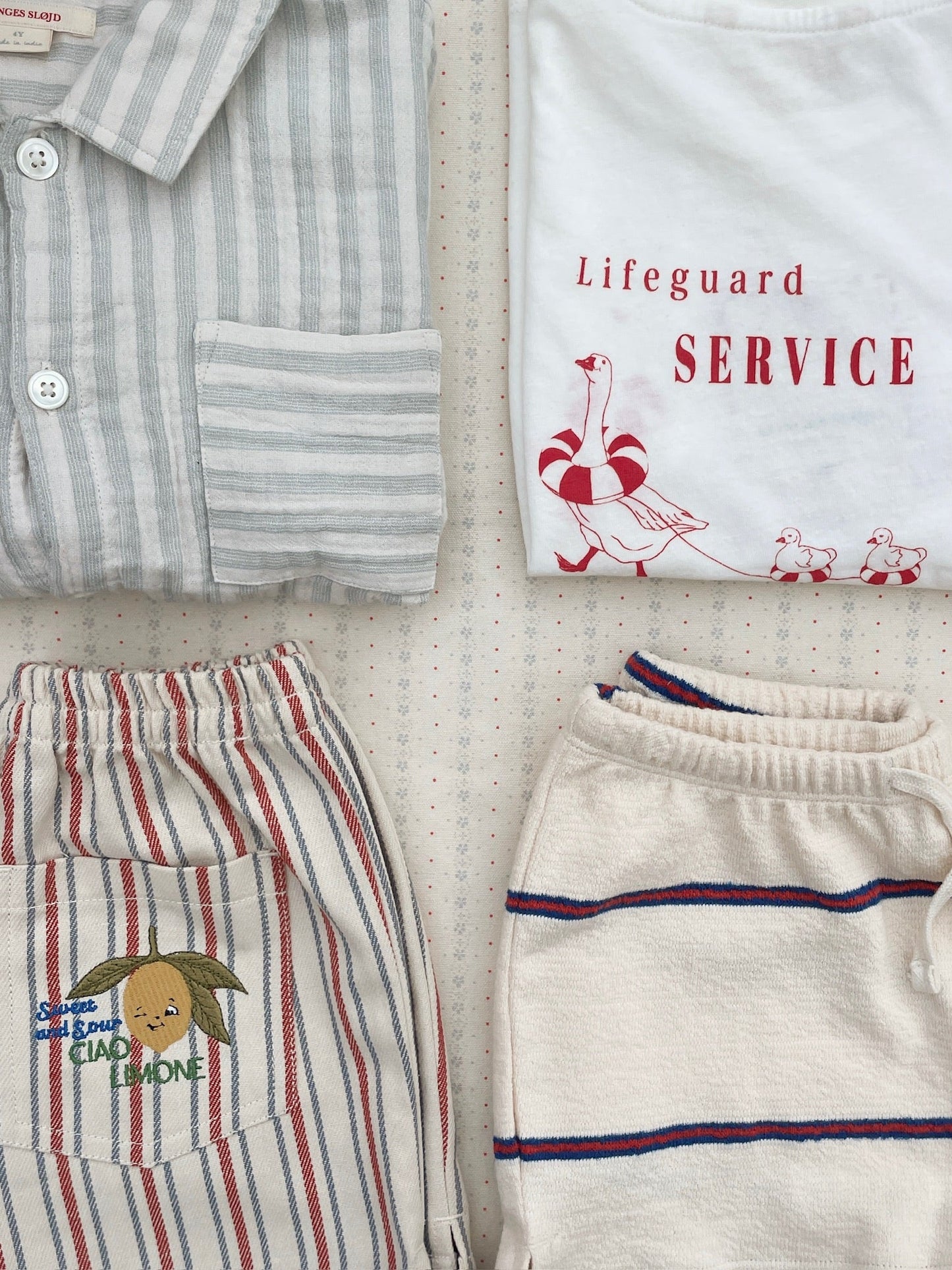Frankie Shorts in Stripe Winds