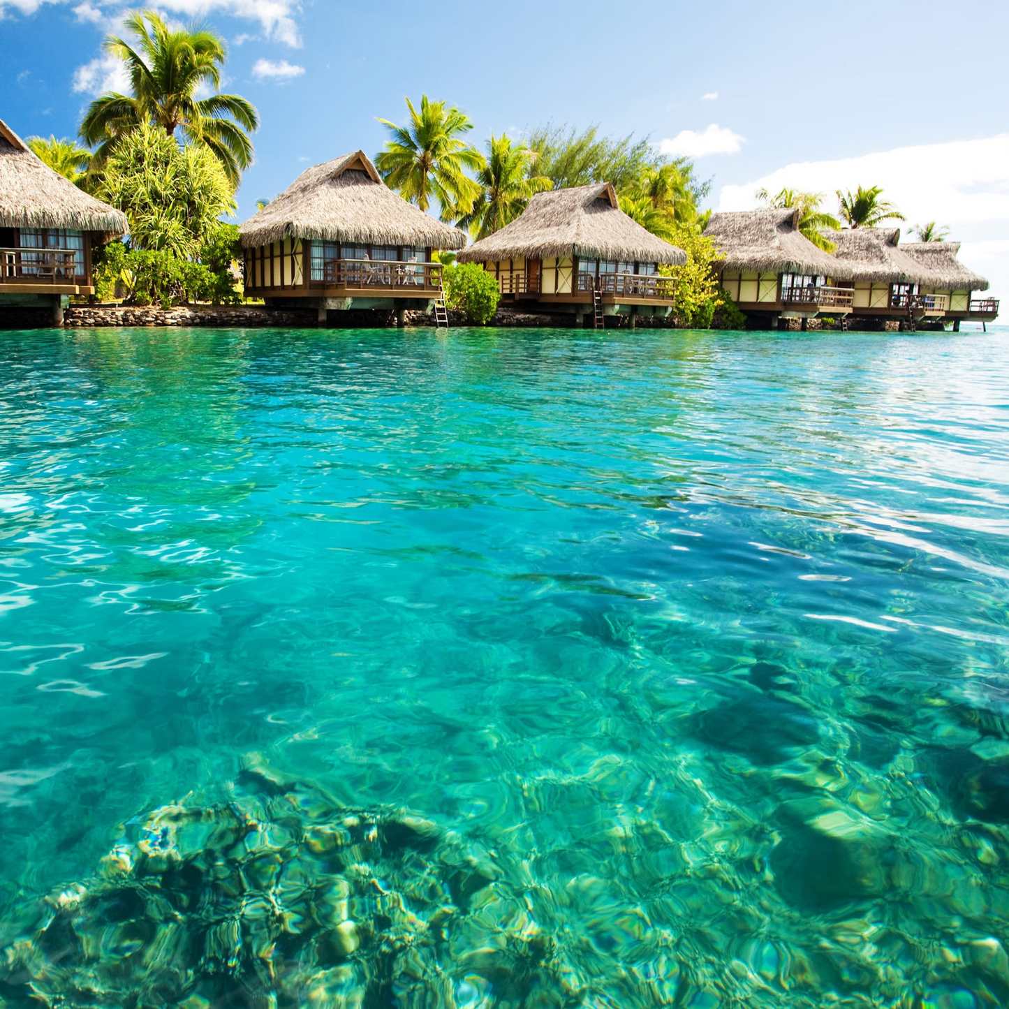 Snorkling Excursion in Maldives