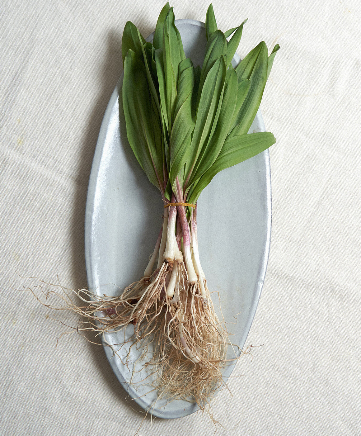 Assisi Small Oval Platter