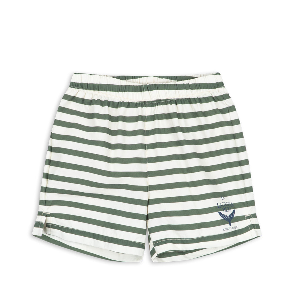 Asnou Swim Shorts in Stripe Verti