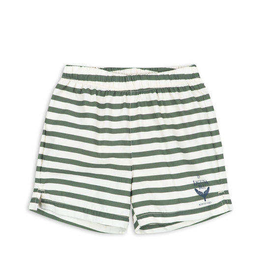 Asnou Swim Shorts in Stripe Verti